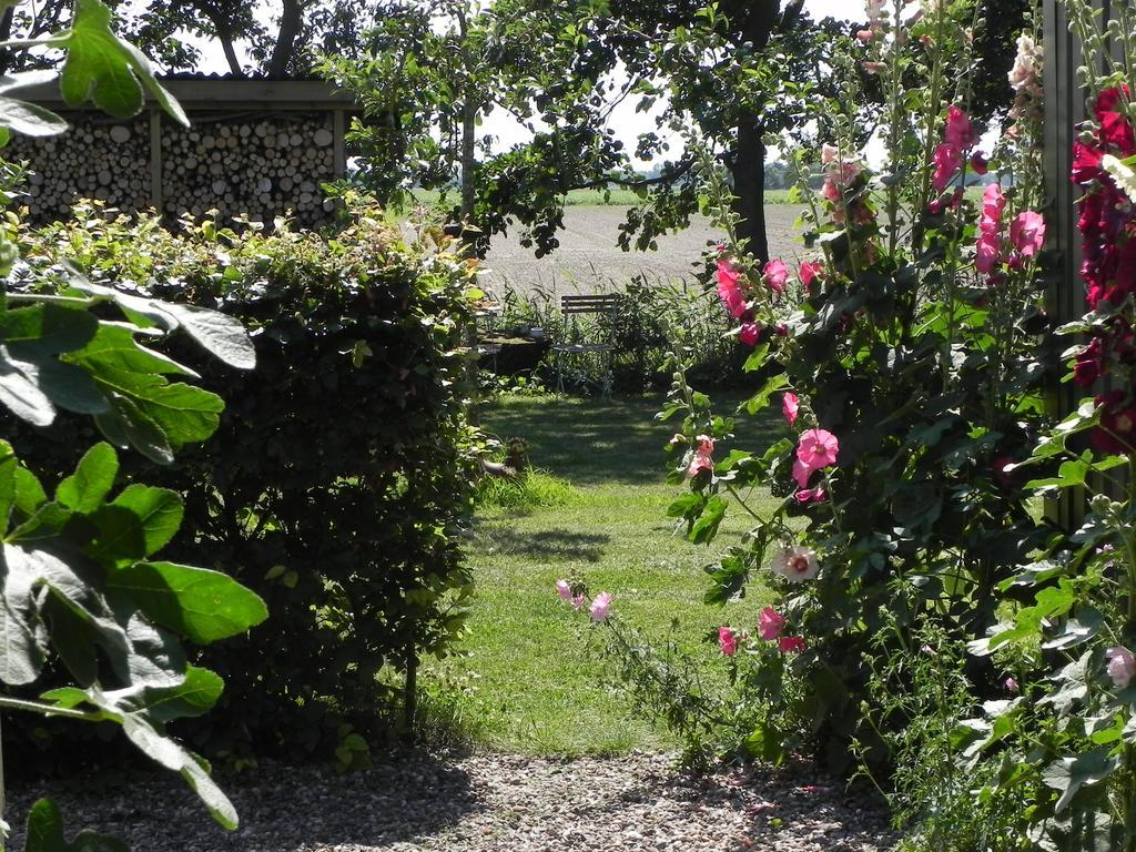 Bed & Breakfast Appels En Peren Breezand