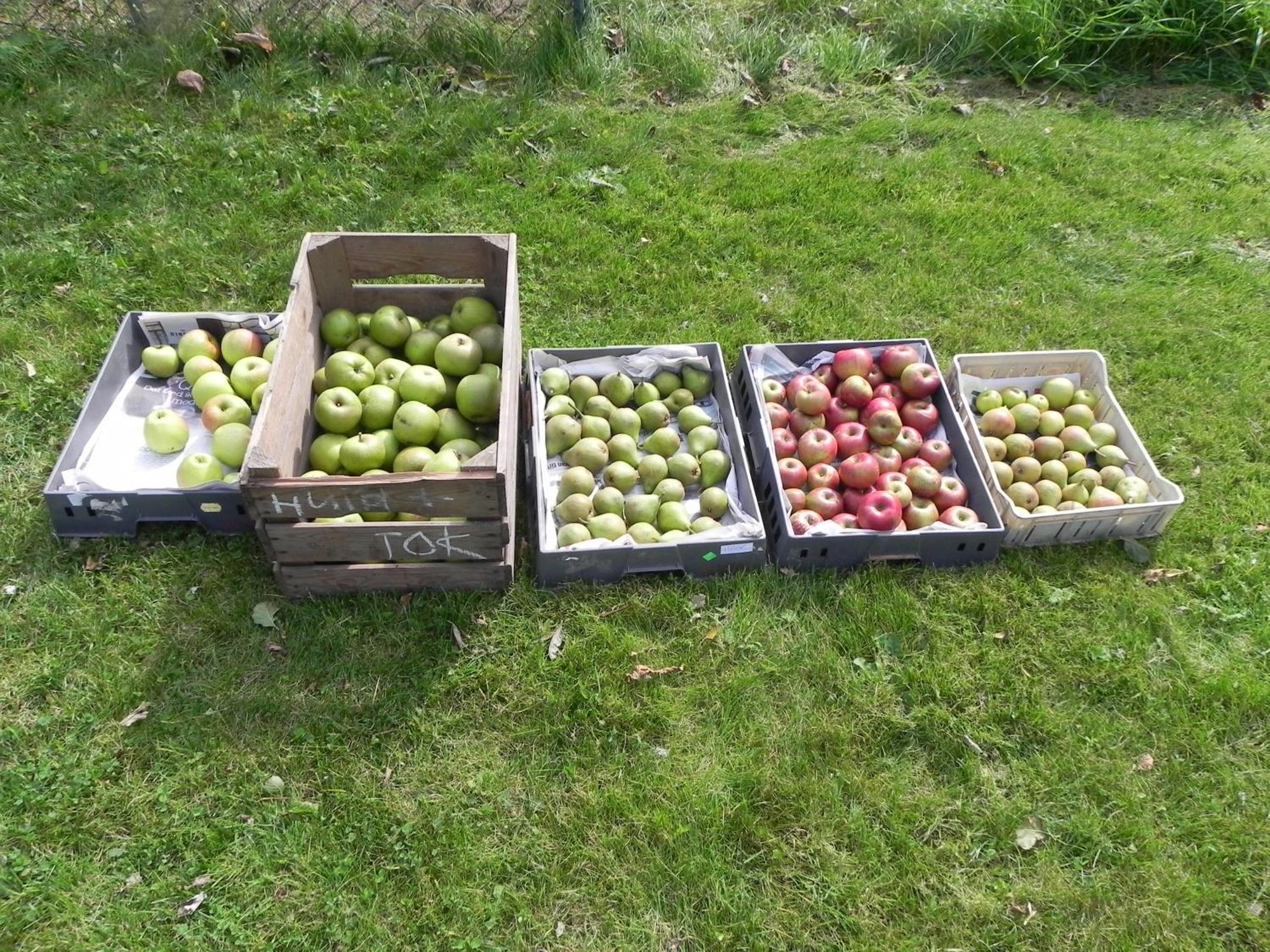Bed & Breakfast Appels En Peren
