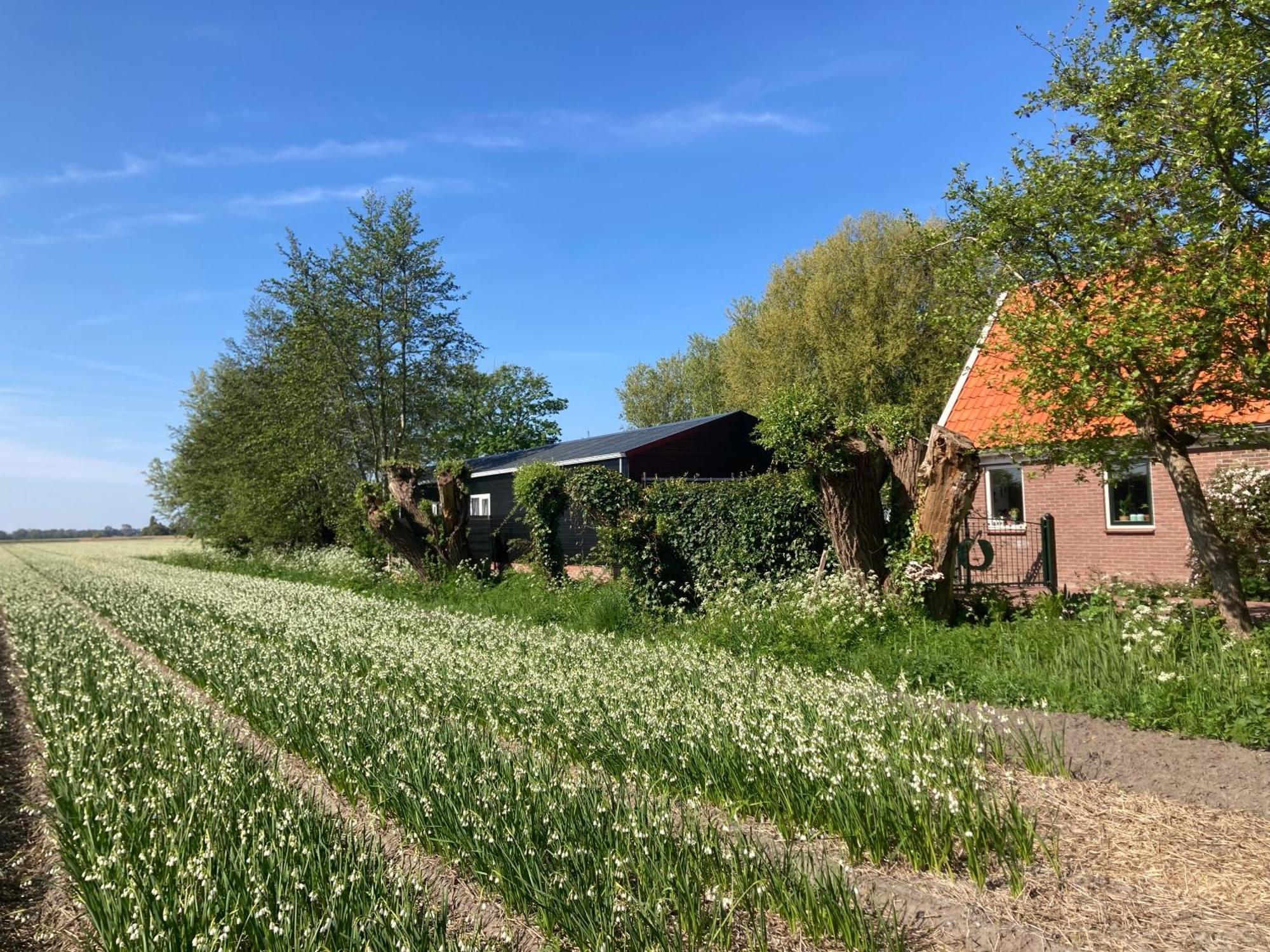 Appels En Peren Bed & Breakfast