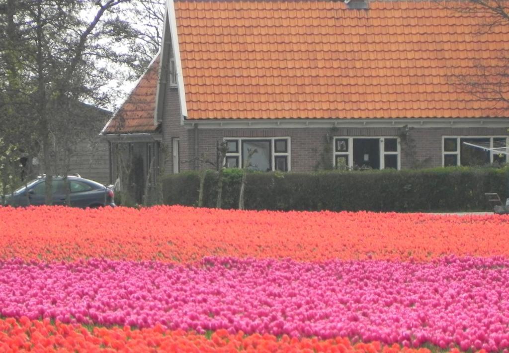 Bed & Breakfast Appels En Peren